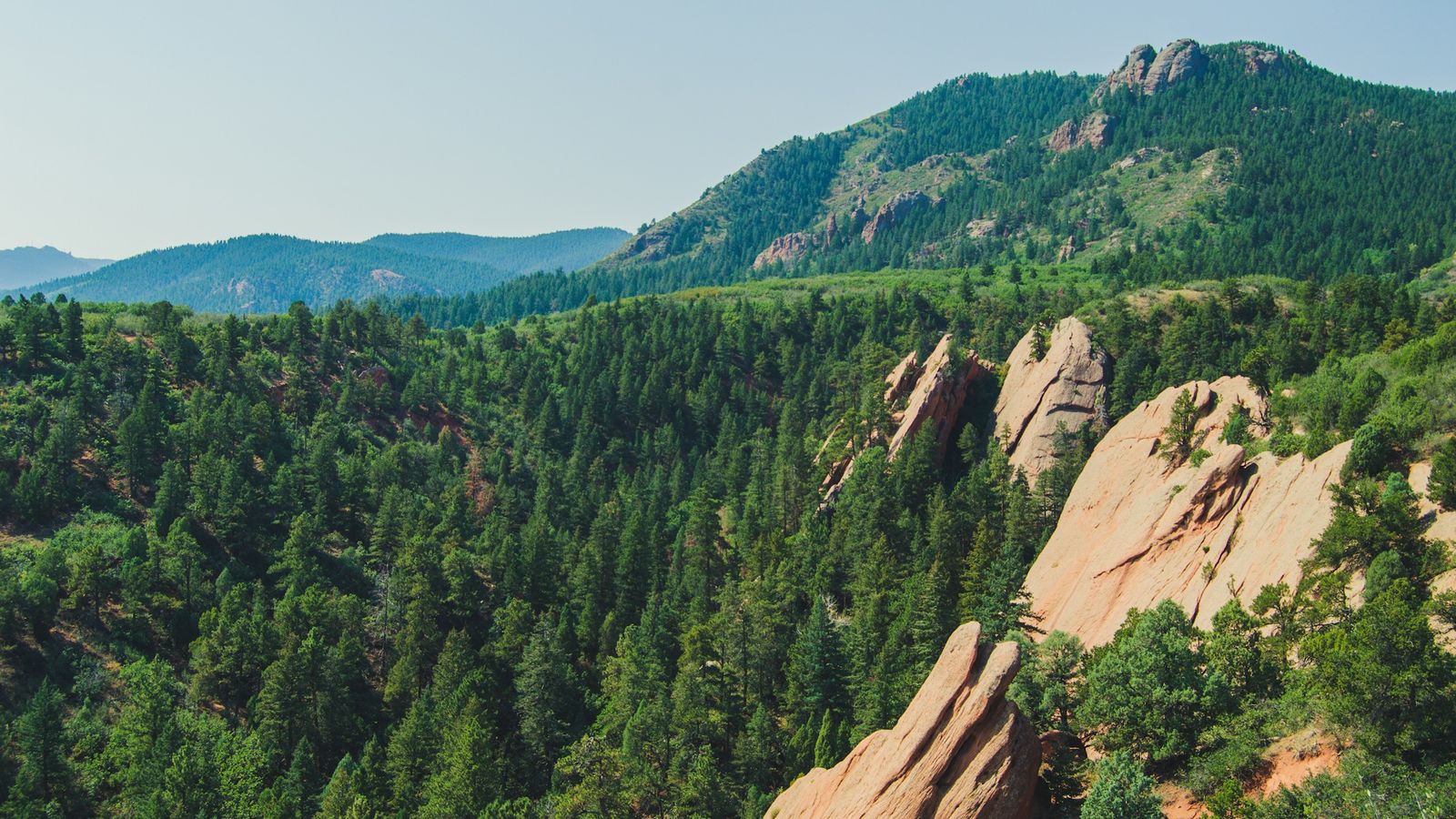 Pine-covered foothills and pale sandstone outcrops outside Colorado Springs.