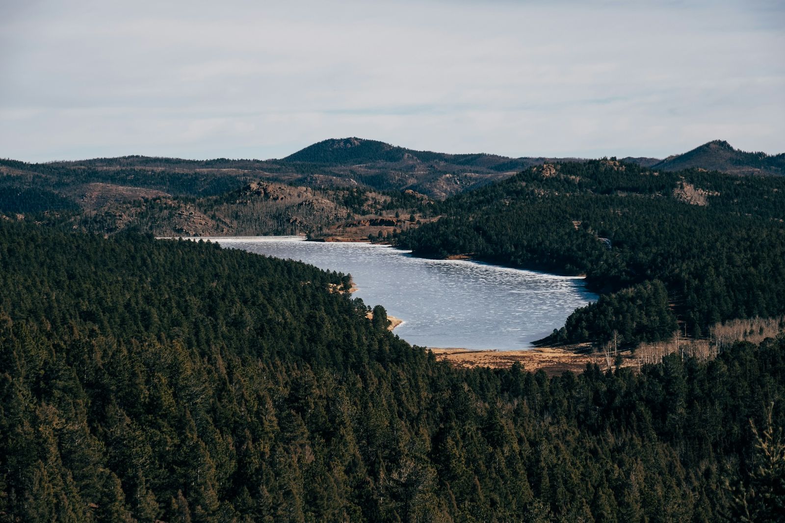 A partly frozen lake in a pine forest on the slopes of Pikes Peak.